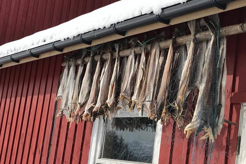 Nordlandshus Ved Lofotr Villa Bostad Kültér fotó